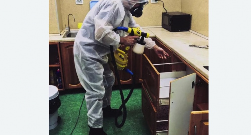 Уничтожение насекомых в квартире. Сухиничи