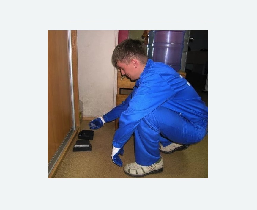 Дератизация крыс в Сухиничах