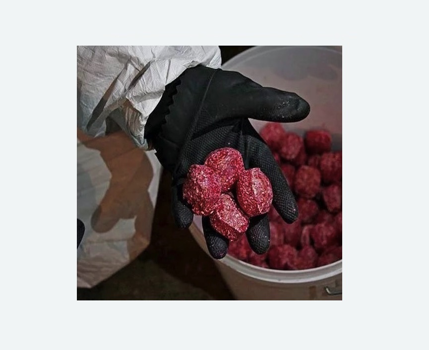 Обработка от крыс в Сухиничах