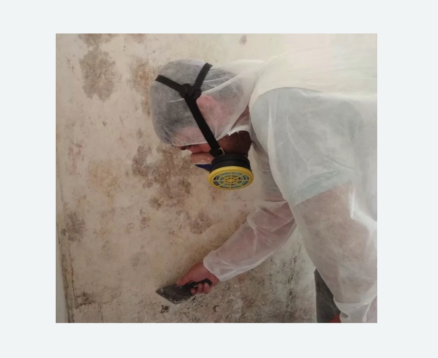 Обработка стен от плесени в Сухиничах
