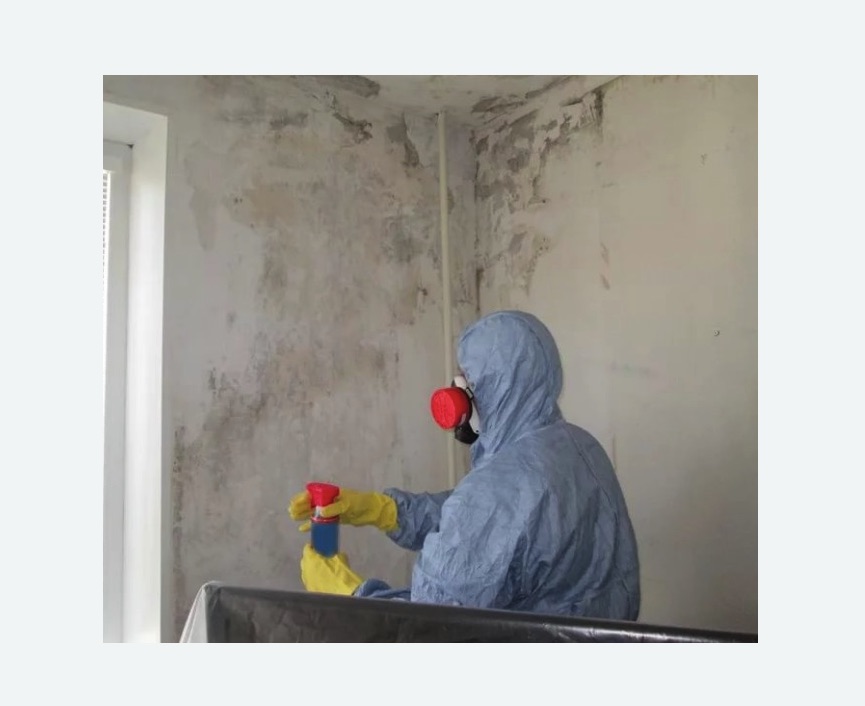 Удаление плесени в квартире в Сухиничах