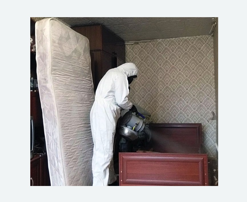 дезинфекция от клопов в Сухиничах