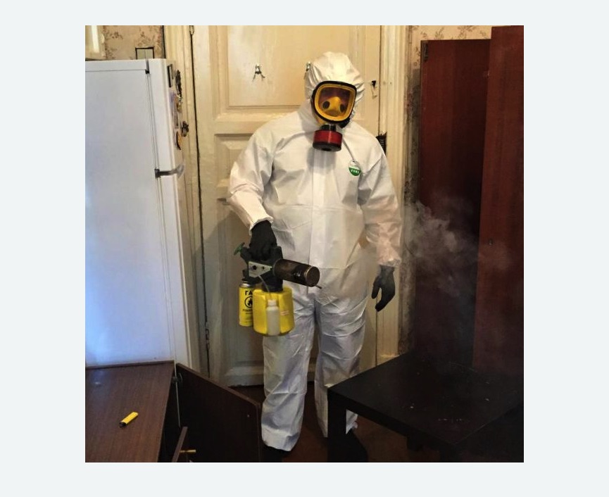 уничтожение муравьев в квартире в Сухиничах